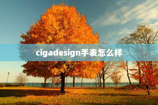 cigadesign手表怎么样 华为玺佳多少钱？