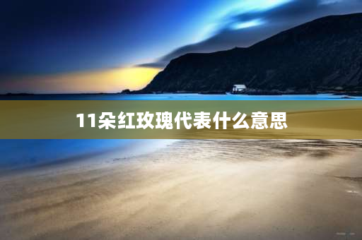 11朵红玫瑰代表什么意思 十一朵玫瑰花代表什么意思？