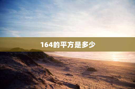 164的平方是多少 16400平方千米等于多少平发米？