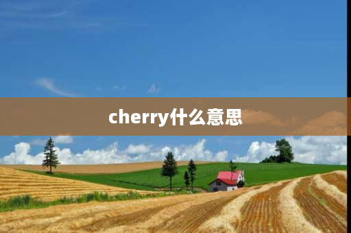 cherry什么意思 樱桃代表什么意思？