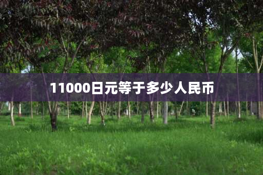 11000日元等于多少人民币 11000是什么意思？