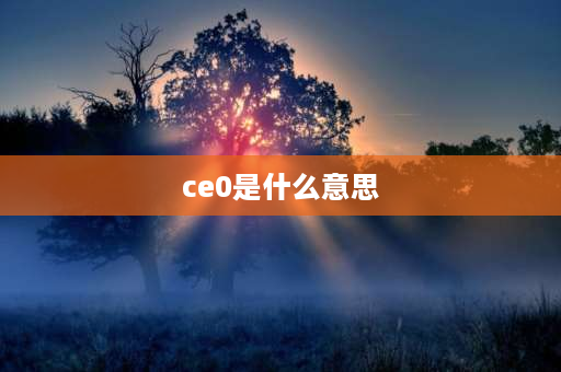 ce0是什么意思 何为ceo？