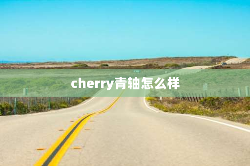 cherry青轴怎么样 青轴机械键盘优缺点？