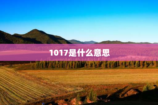 1017是什么意思 1017数字恋爱代表什么？