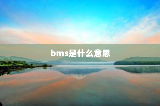 bms是什么意思 特斯拉bms是什么意思？