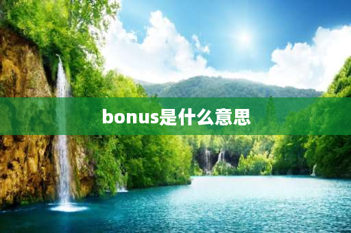 bonus是什么意思 bonus的近义词？