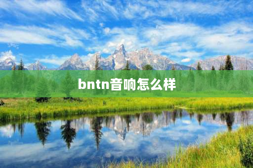 bntn音响怎么样 万马奔腾功放是北京坦普技术有限公司生产的？