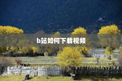 b站如何下载视频 bilibili下载了怎么保存到本地？