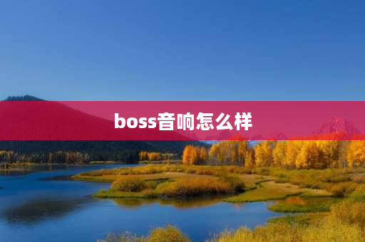 boss音响怎么样 bose音响到底怎么样？