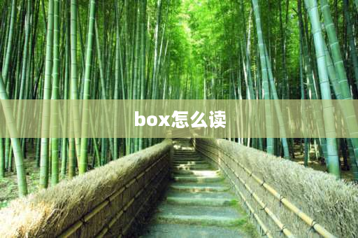 box怎么读 mother和box的o发音一样吗？