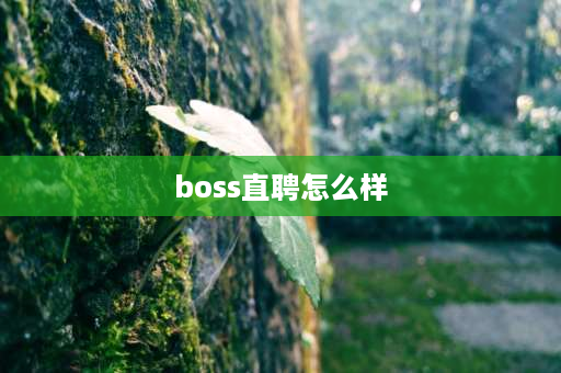 boss直聘怎么样 58同城和BOSS直聘哪个好？