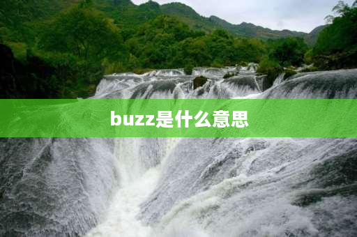 buzz是什么意思 BUZZ是指什么？