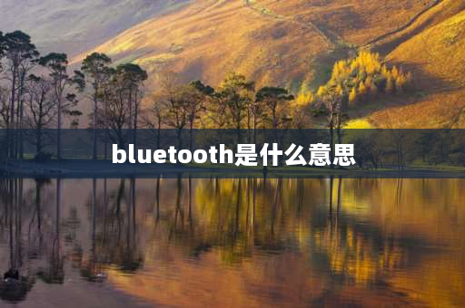 bluetooth是什么意思 请问蓝牙是什么意思,它有什么作用？