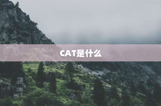 CAT是什么 CAT是什么意思？