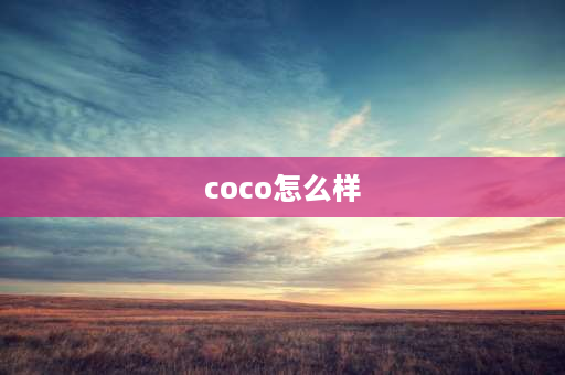 coco怎么样 coco50字好评？