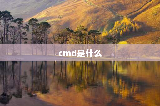 cmd是什么 CMD是什么意思？