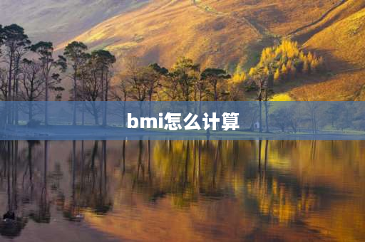 bmi怎么计算 BMI咋算？