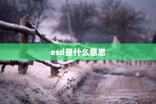 esd是什么意思 苹果息屏显示esd什么意思？