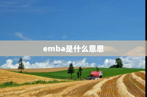 emba是什么意思 EMBA咨询师是什么意思？