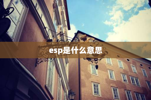 esp是什么意思 esp是什么？