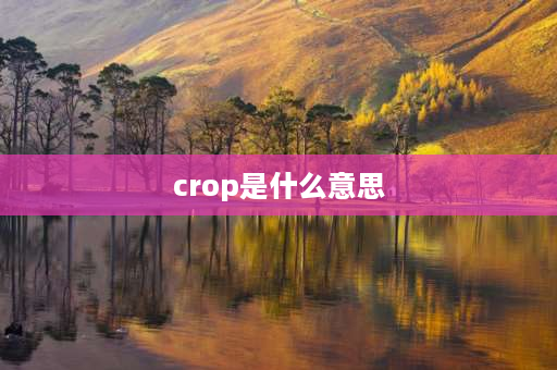 crop是什么意思 crop可数吗？