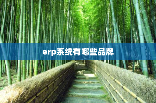 erp系统有哪些品牌 哪家erp系统好？