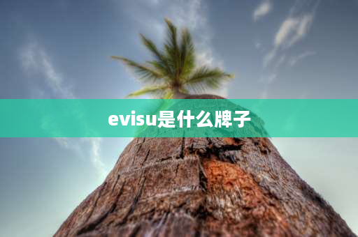 evisu是什么牌子 evis是什么品牌？