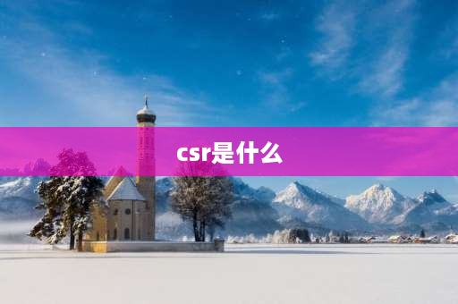 csr是什么 什么是csr体系？