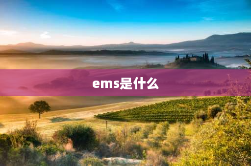 ems是什么 中国邮政快递包裹，普通包裹，EMS的区别是什么？