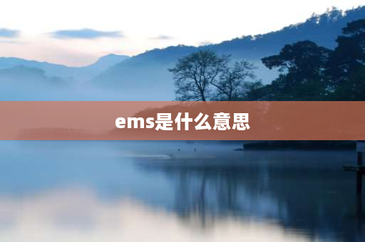 ems是什么意思 EMS是什么意思？