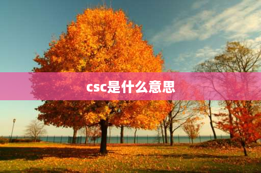 csc是什么意思 csc和sup厂牌有什么区别？