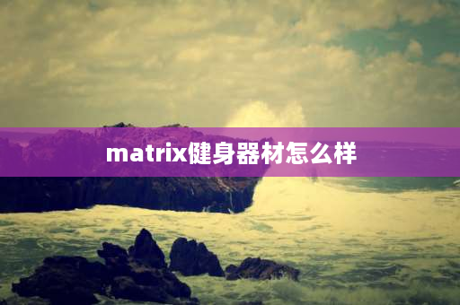 matrix健身器材怎么样 丰田丰田MATRIX进口怎么样？