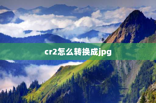 cr2怎么转换成jpg 怎样把CR2格式转换为JPG？