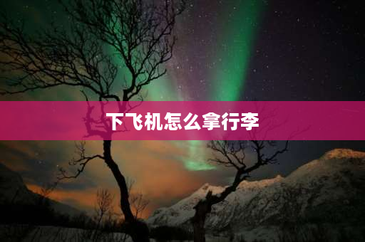 下飞机怎么拿行李 下飞机后去哪里取行李？