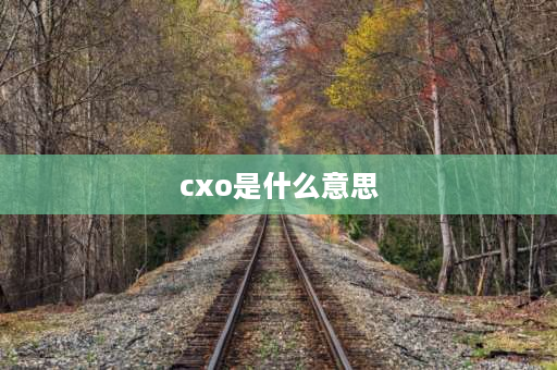 cxo是什么意思 CXO和CEO分别是什么意思？