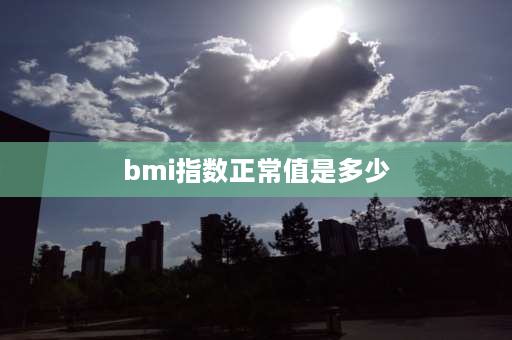 bmi指数正常值是多少 bmi什么意思？