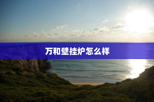 万和壁挂炉怎么样 万和壁挂炉g24b1怎么样？