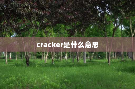 cracker是什么意思 骇客是什么意思？