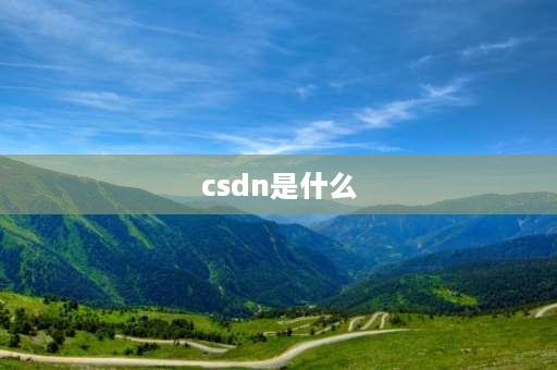 csdn是什么 csdn函数是什么？