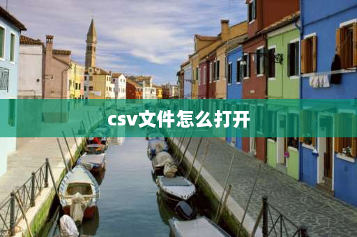 csv文件怎么打开 智能店长如何导入csv文件？