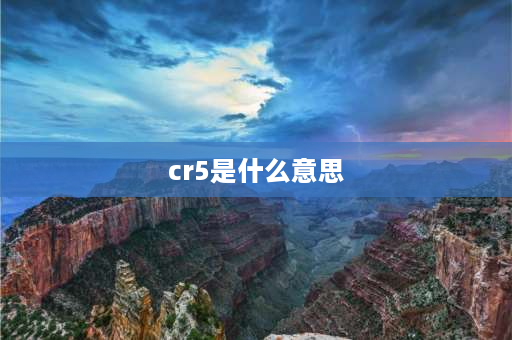 cr5是什么意思 cr5和dc05有啥区别？