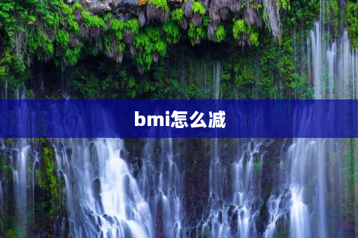 bmi怎么减 bmi243怎么减最快？