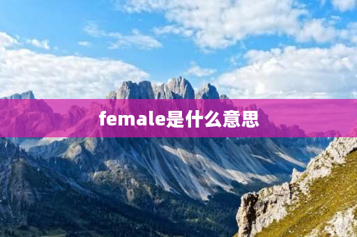 female是什么意思 female什么牌子女鞋？