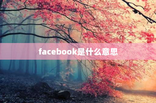 facebook是什么意思 facebook是什么？