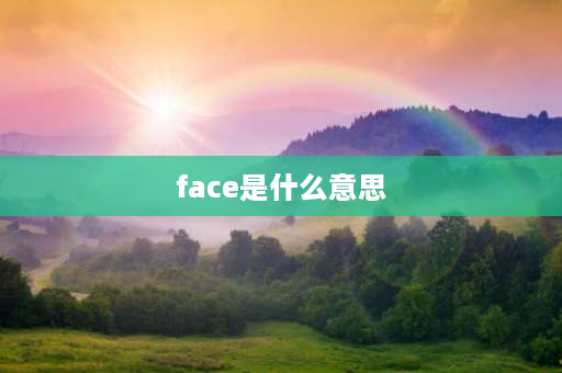 face是什么意思 英语appearance和face的区别？