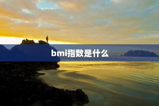 bmi指数是什么 bmi28.1是什么概念？