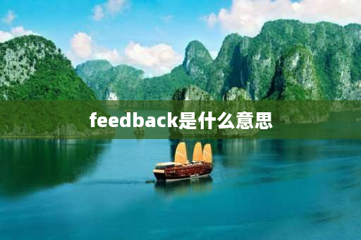 feedback是什么意思 信息反馈是什么意思？