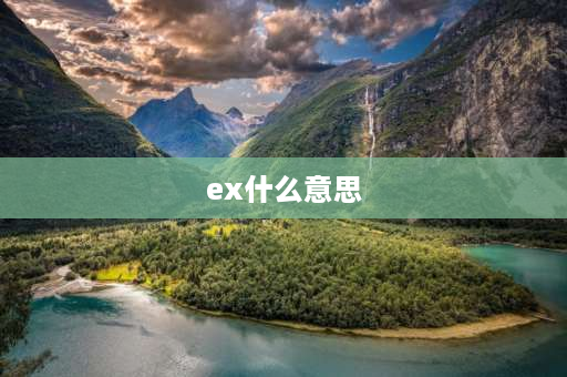 ex什么意思 EX表示什么？