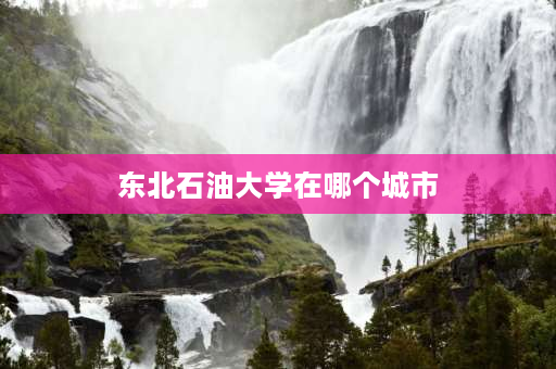 东北石油大学在哪个城市 东北石油大学有几个校区及校区地址，哪个校区最好？