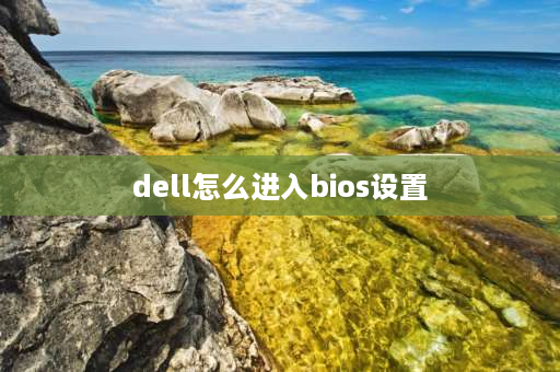 dell怎么进入bios设置 如何进入DELL电脑BIOS设置？